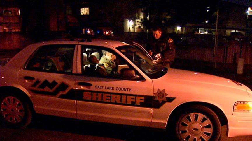 Suspects Arrested in Overnight Car Burglaries