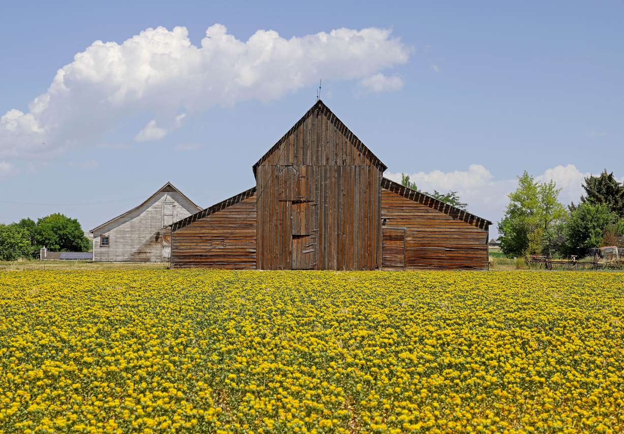This barn in Newton, Cache County, certainly captures the rural spirit of the state.