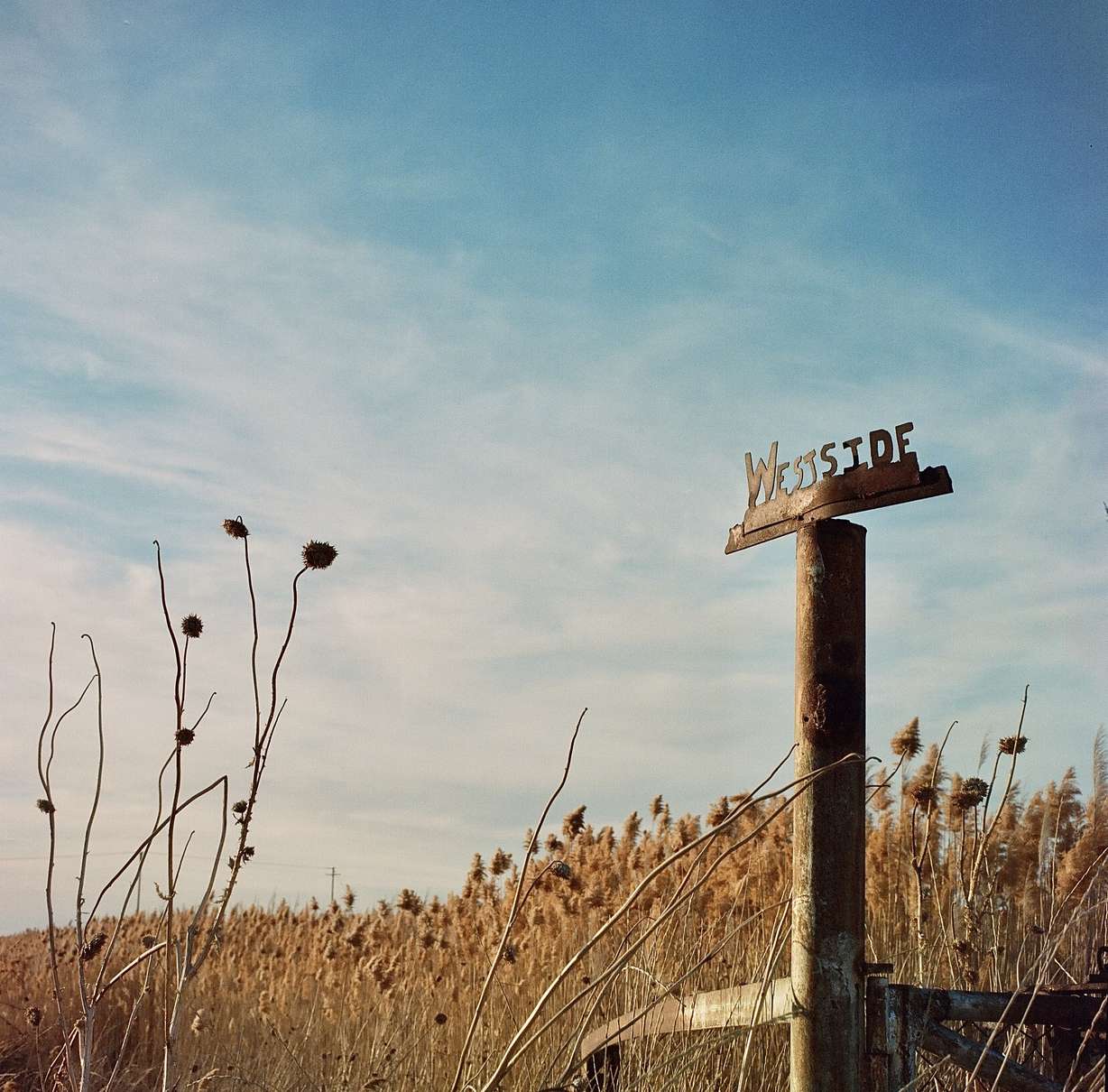 This image of a sign that says "Westside" won the Community Character category of the photo contest.