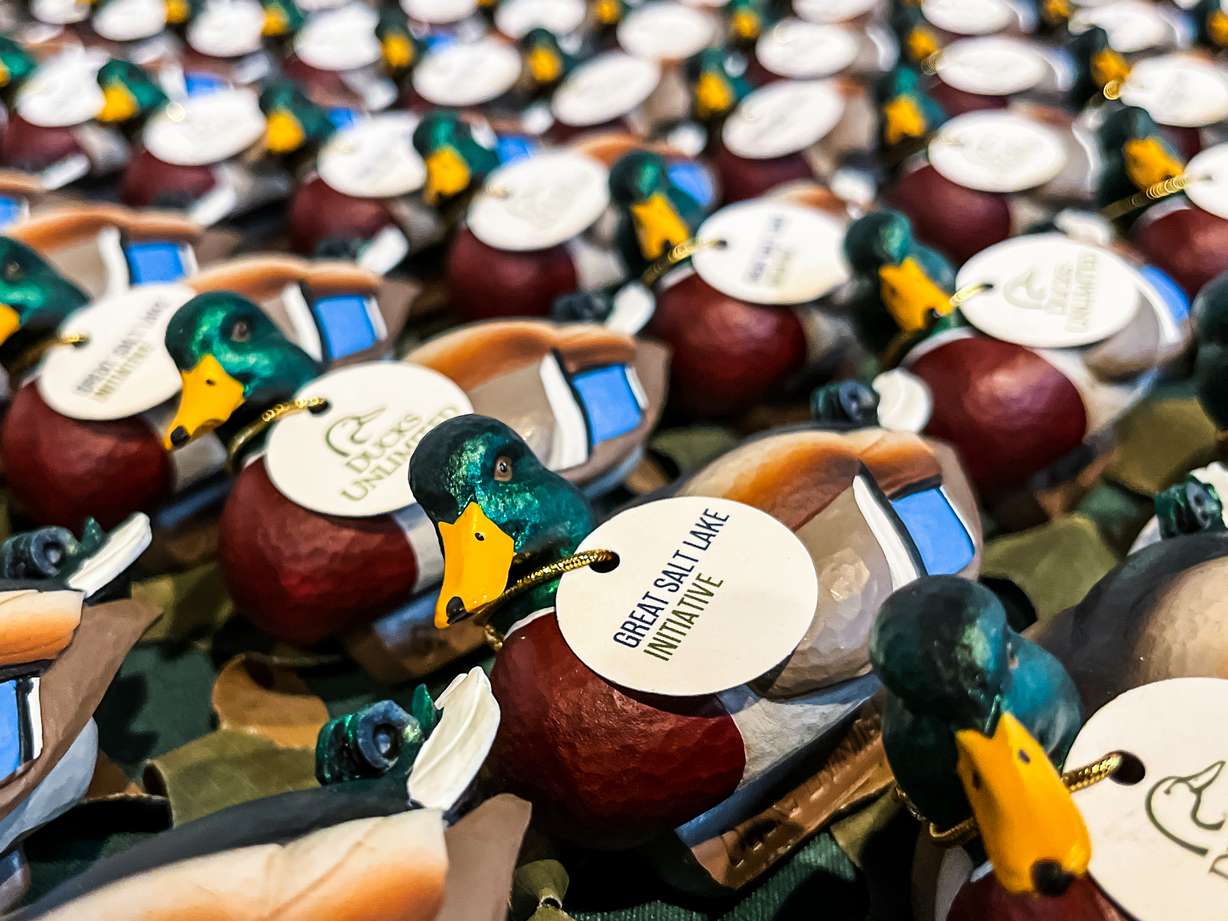Ducks Unlimited duck figures with a Great Salt Lake Initiative logo lined up on a table at the Megaplex Theatres at Jordan Commons Tuesday.