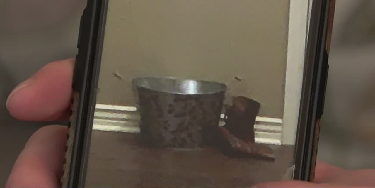 Layton family pleading for return of irreplaceable Halloween candy bowl