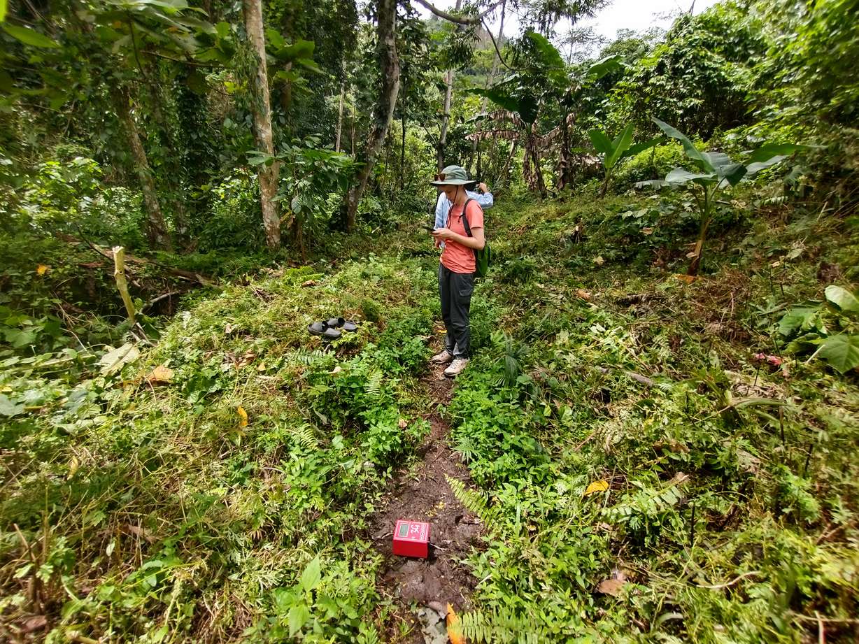 Shayna Orme collects data in the jungle using the HVSR method, which is valuable because it can be done almost anywhere. Orme and other BYU students visited Ambon, Indonesia, in August to implement risk reduction in communities.