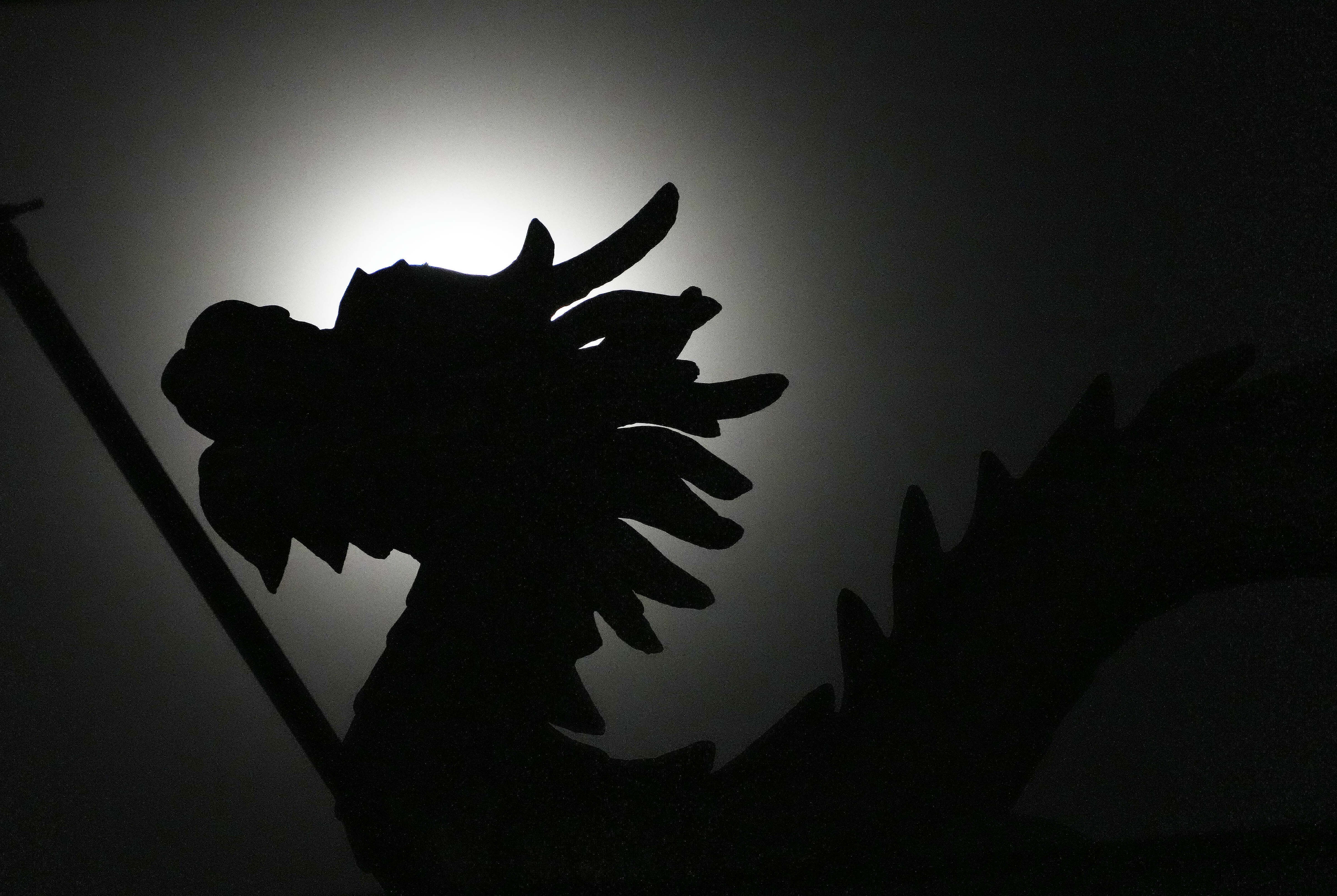 A naga statue is silhouetted against the moon during a total lunar eclipse in front of the Chinese temple in Phnom Penh, Cambodia, Tuesday.