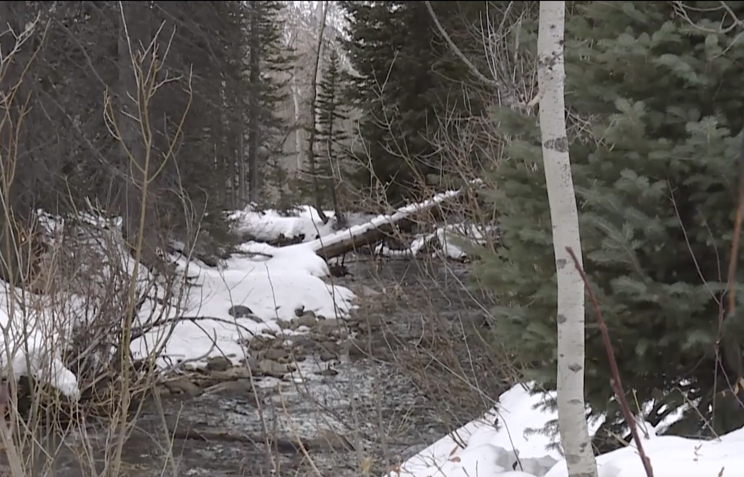 Utah is off to a great start, but snow needs to keep coming, hydrologist says