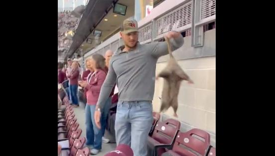 A spectator at Kyle Field in Texas removes a possum from behind a row of seats on Oct. 29.