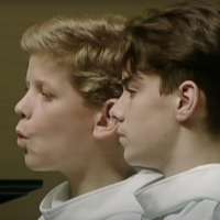 Have You Seen This? Quirky choral piece is a-meow-zing