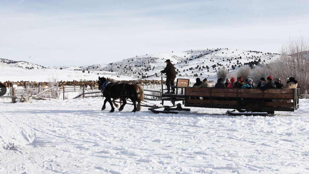 A sleigh carries visitors through Hardware Wildlife Management Area near Hyrum on Dec. 21, 2019. The Utah Division of Wildlife Resources said the sleigh rides are back this winter after nearly three years.