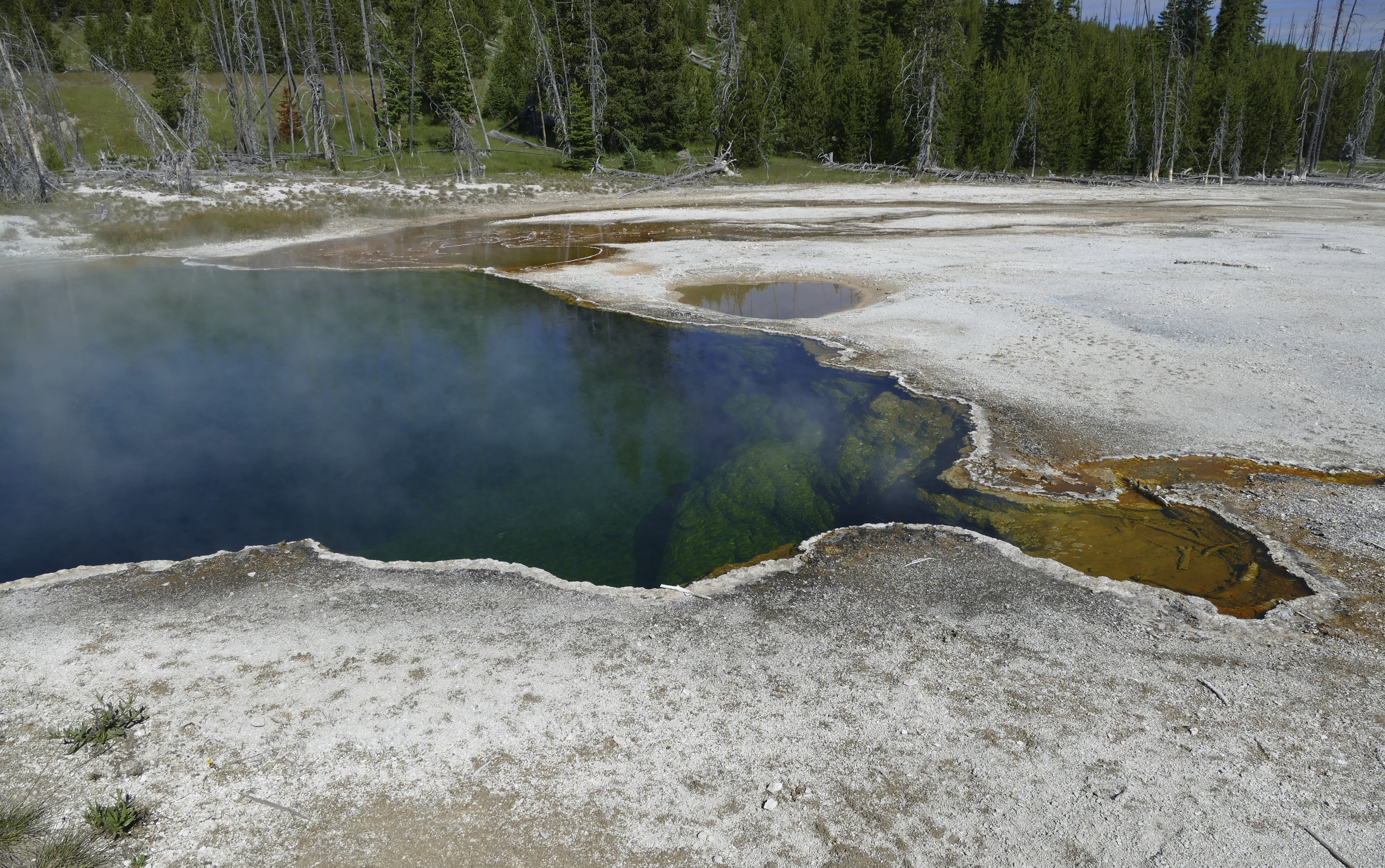 The Abyss Pool hot spring in the southern part of Yellowstone National Park, Wy., in June 2015. Part of a human foot found in a shoe floating in a hot spring in Yellowstone National Park earlier this year belonged to a 70-year-old man from Los Angeles who died in July, park officials said Thursday. 