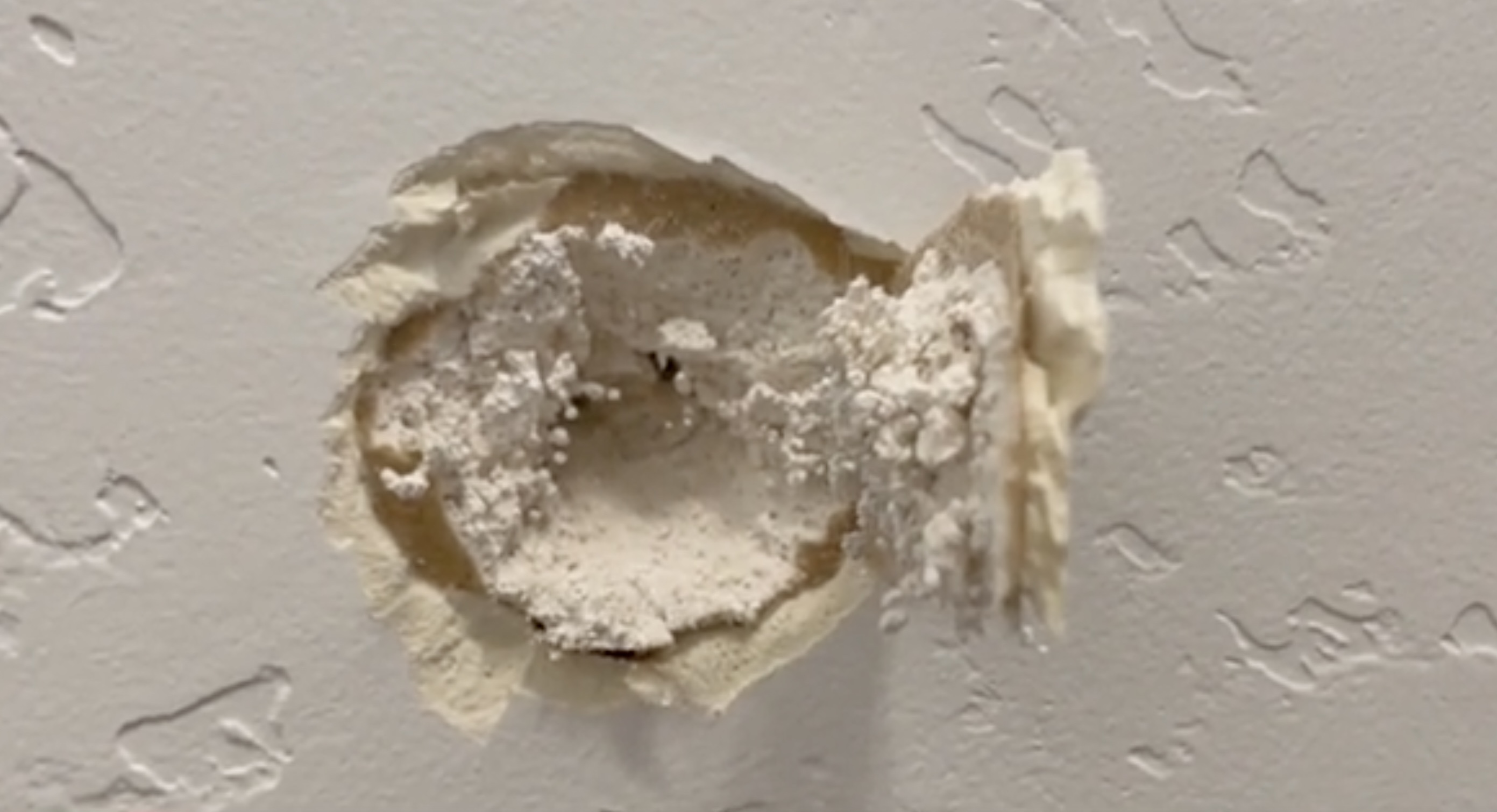 A gunshot fired through the wall of a townhome Wednesday led officers to arrest the neighbor, following the discovery of greater destruction inside that man’s home next door.