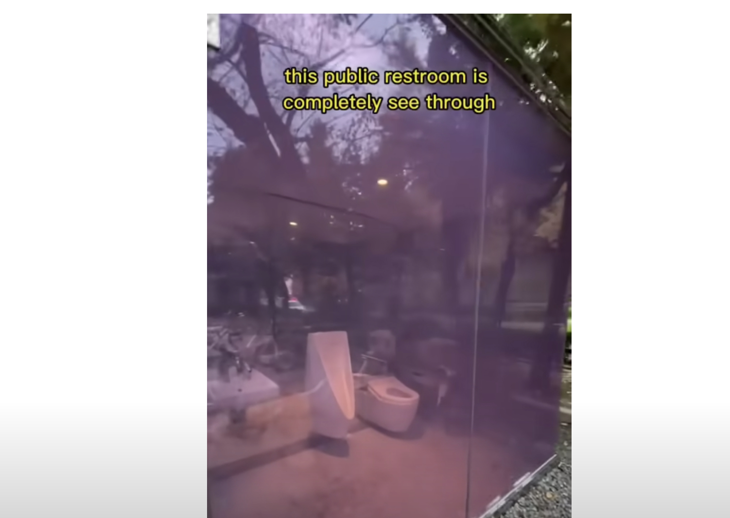 Tokyo has a public restroom in a park that's "completely see-through," the video shared by Povs Adventures shows, with its walls composed of glass.