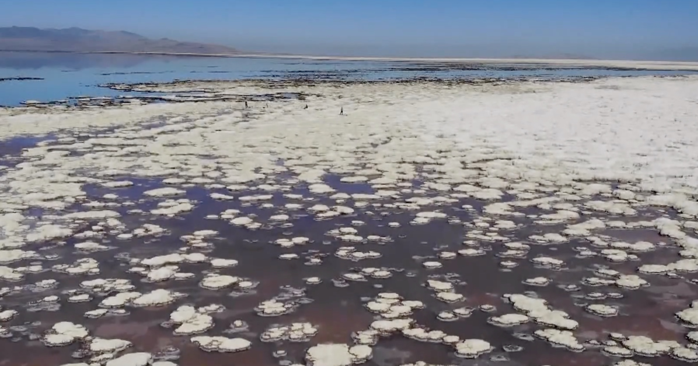 It’s supposed to be surrounded by water, but right now, Antelope Island as we know it is on life support — suffering from the shrinking Great Salt Lake.