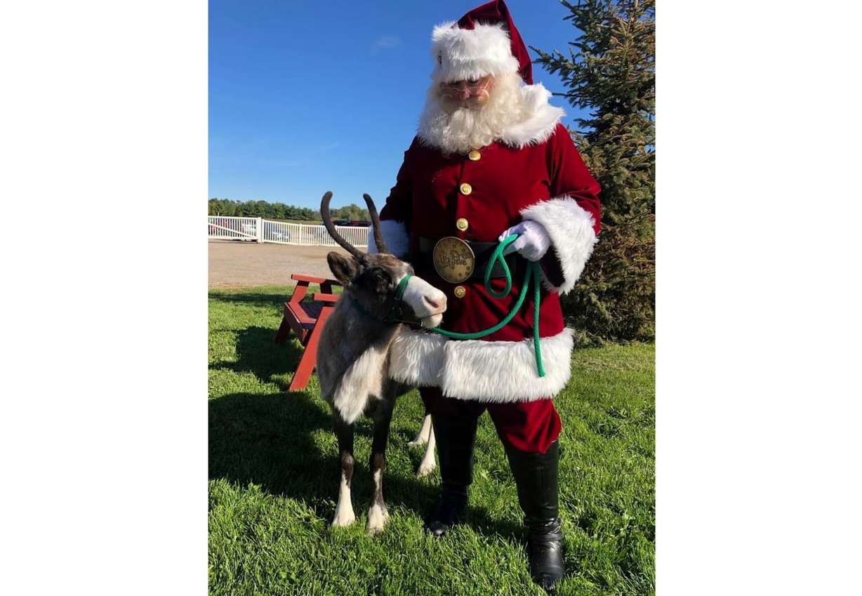 This photo shows Melissa Rickard dressed as Santa, with a reindeer at the Rooftop Landing Reindeer Farm in Claire, Mich., on Oct. 2. Rickard, 48, a rare female Santa, first donned the red suit to perform as Santa while in her early 20s.