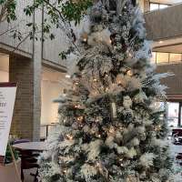 Salt Lake County Giving Tree program provides gifts to isolated, homebound adults
