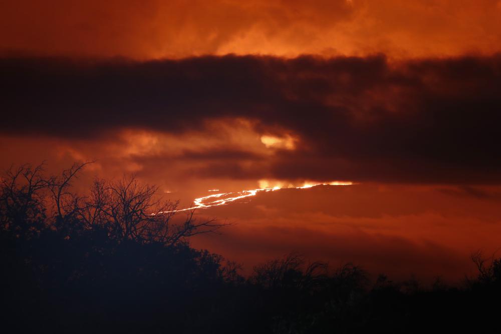 A river of lava flows down from Mauna Loa, Monday, near Hilo, Hawaii. Mauna Loa, the world's largest active volcano erupted Monday for the first time in 38 years.