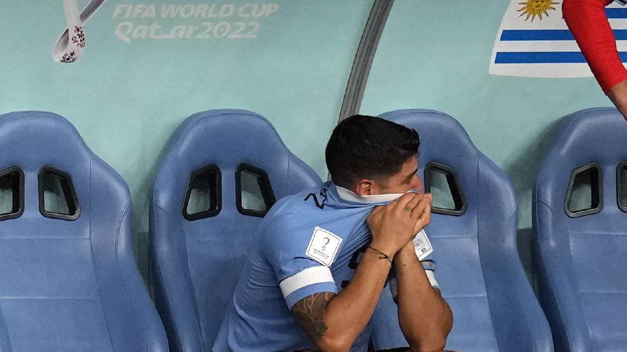 Uruguay's Luis Suarez sits on the bench during the World Cup group H soccer match between Ghana and Uruguay, at the Al Janoub Stadium in Al Wakrah, Qatar, Friday, Dec. 2, 2022.