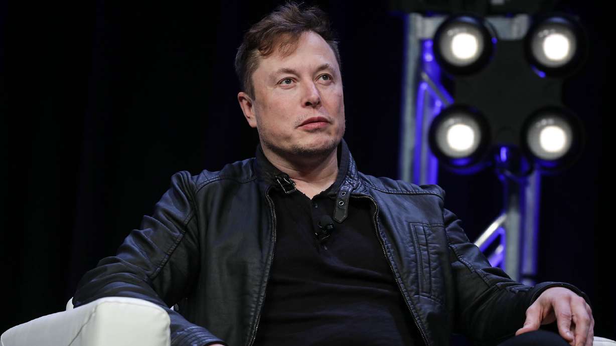 Hate speech has dramatically surged on Twitter following the Elon Musk takeover, new research shows.