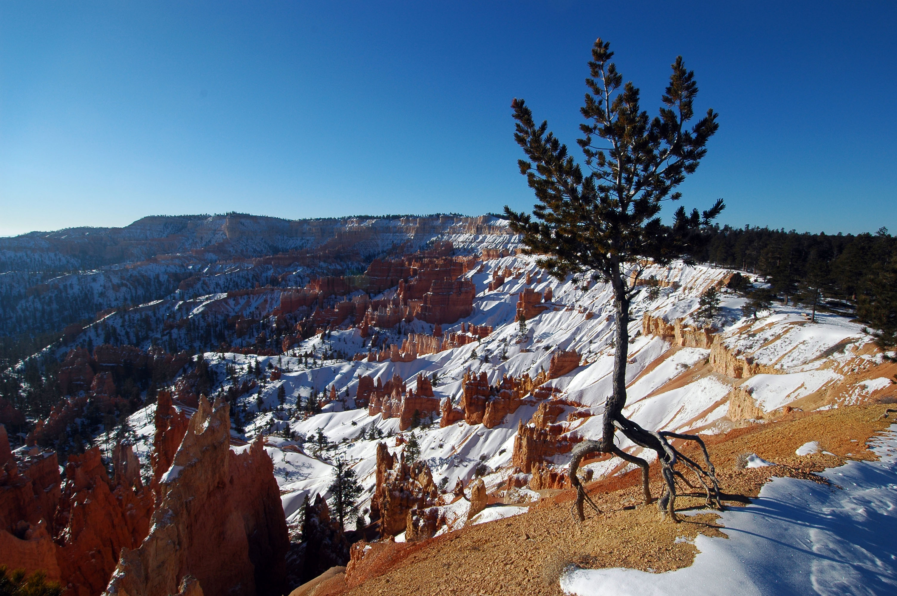 Snow decorates the Hoodoos in Bryce Canyon National Park on Monday, Jan. 15, 2007. While droves of visitors pour into southern Utah every year to explore the state's "Mighty 5" national parks, one of those five is being left in the red dust, leading tourism officials to reimagine how and when they want to attract visitors.