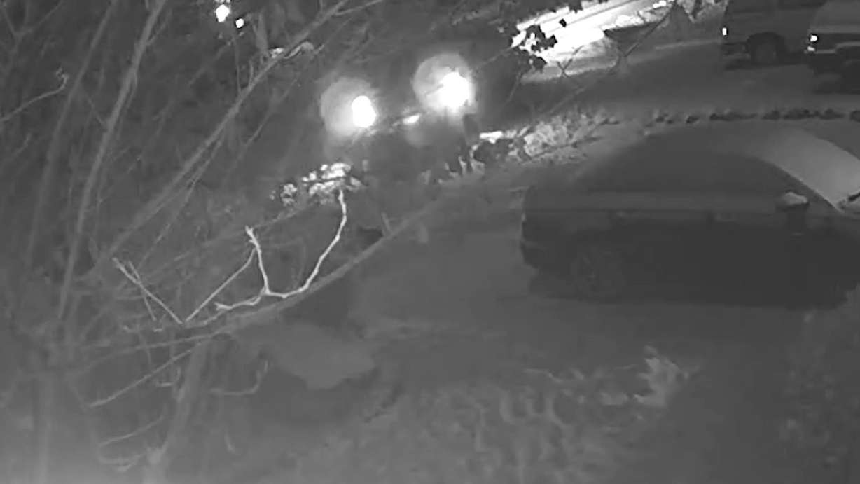 Holly Wilson's home security footage of sees the suspected driver crashing into a mailbox.