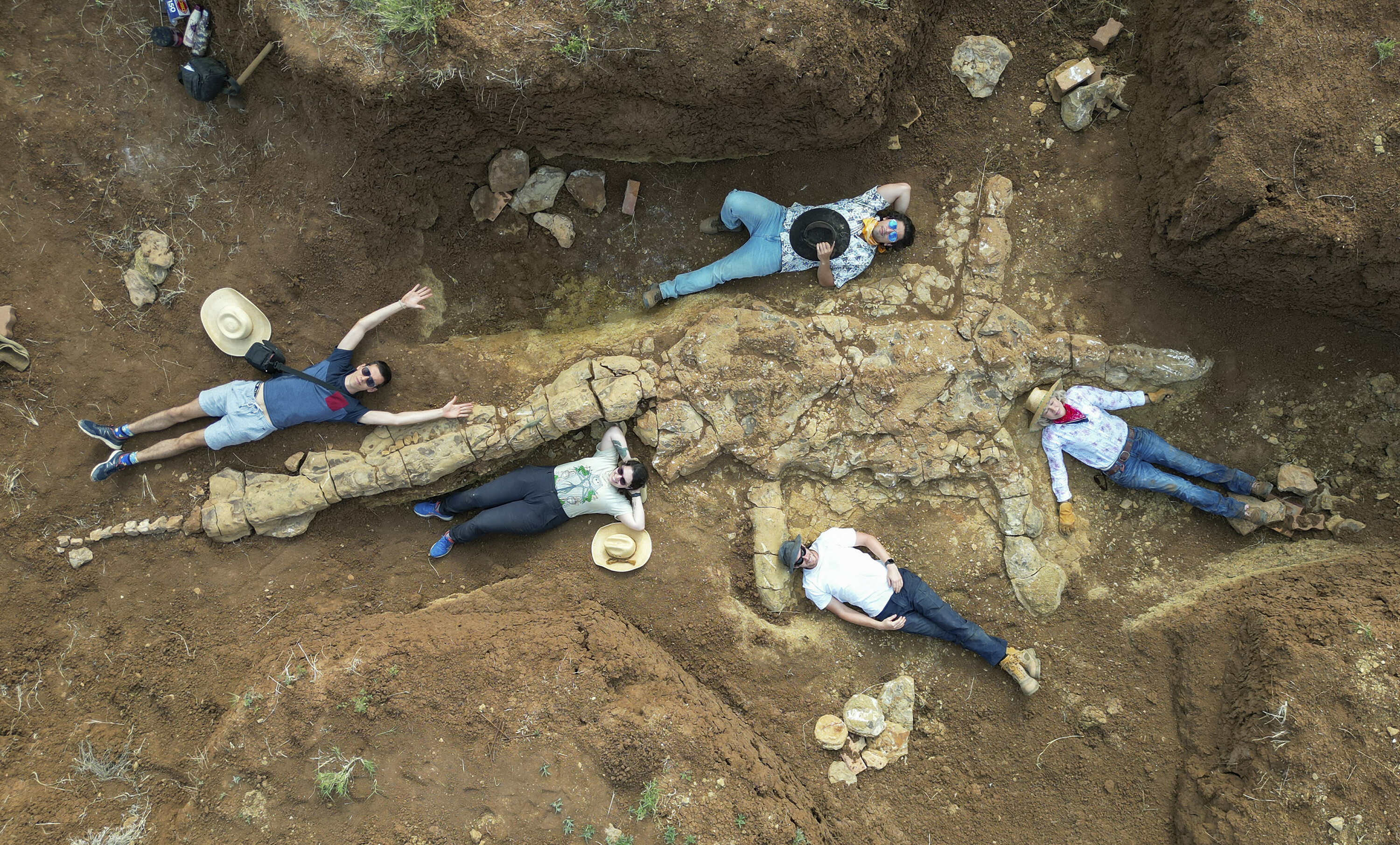 The skull, neck and body of a plesiosaur have been found in one piece in Australia.