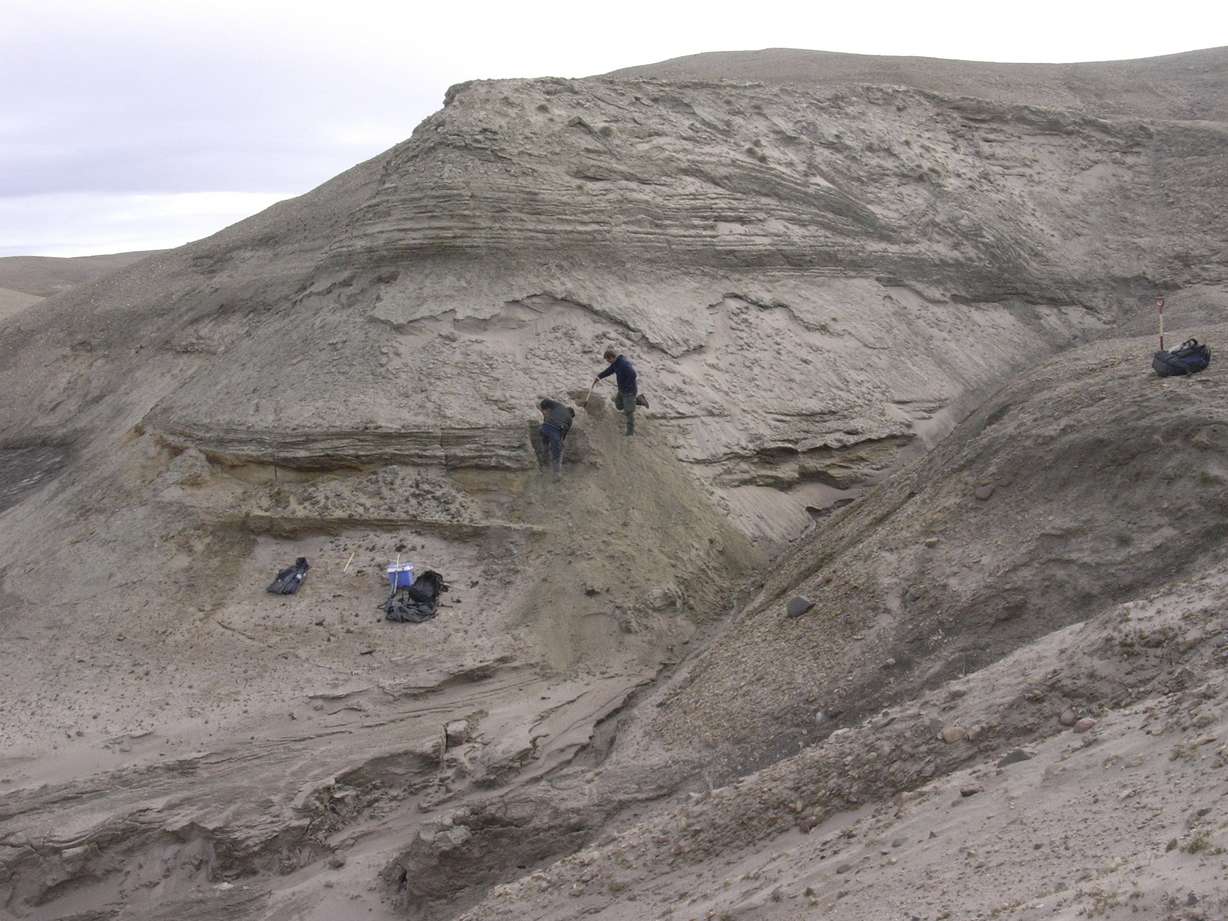 Professors Eske Willerslev and Kurt H. Kjaer expose fresh layers for sampling of sediments at Kap Kobenhavn, Greenland.