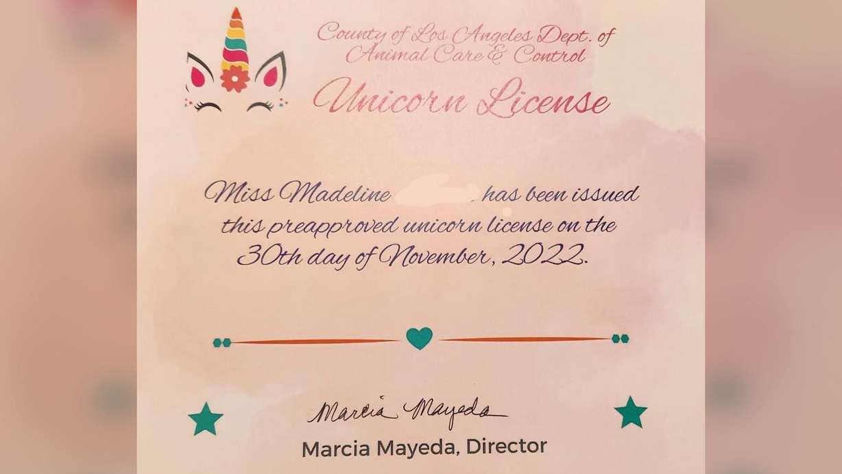 The Los Angeles County Department of Animal Care and Control has issued its first ever unicorn license. A portion of this image has been obscured by the Los Angeles County Department of Animal Care and Control to protect personal information.
