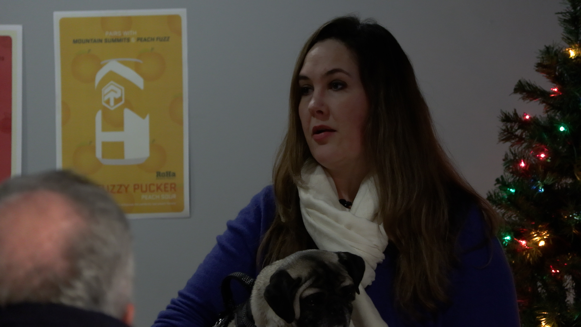 Amy J. Hawkins, chair of the Ballpark Community Council.