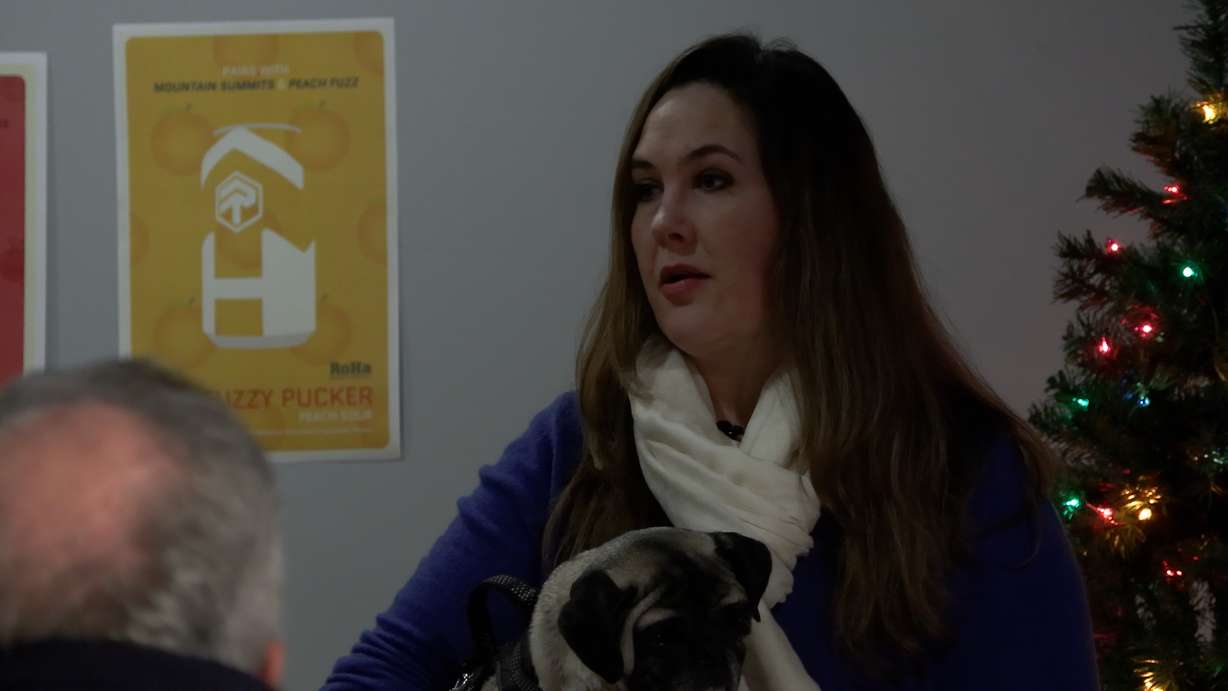 Amy J. Hawkins, chair of the Ballpark Community Council.