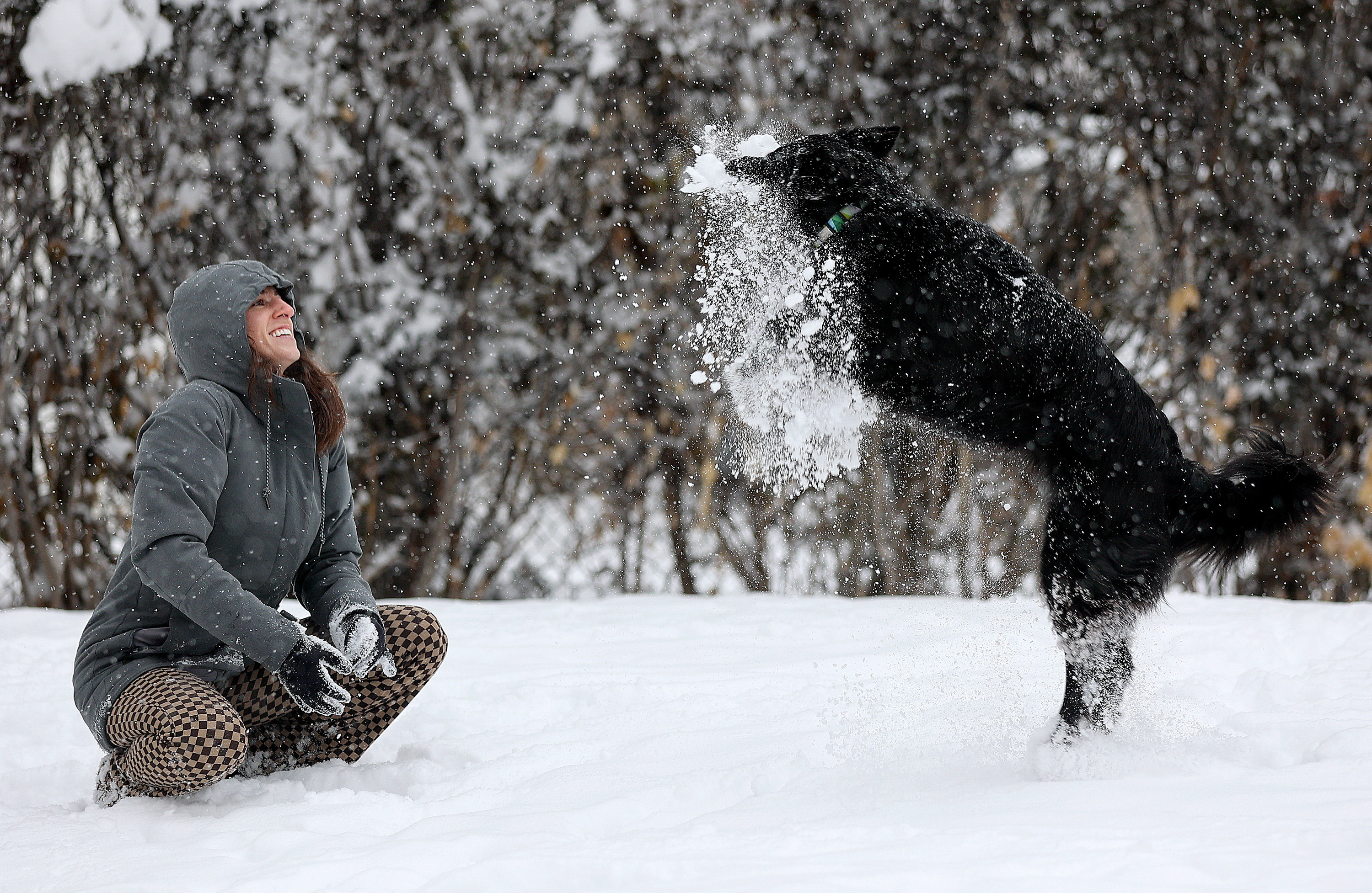 Mallory Hiegel plays with her dog Basil during a snowstorm in Salt Lake City on Tuesday. The city has already received 6 inches of snow since Sunday and more snow is expected into Wednesday morning.