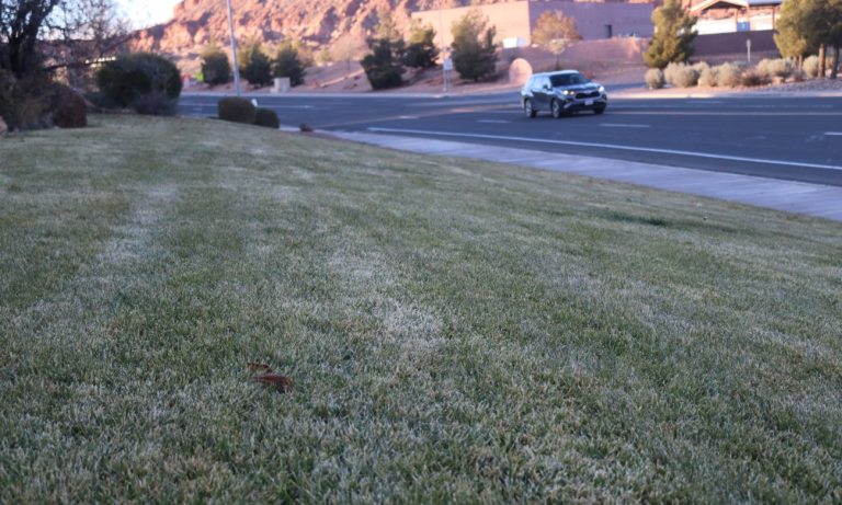 Grass along Brigham Road in St. George. The Washington County Water Conservancy District is offering cash rebates to people who replace their decorative, non-functional grass with water-efficient landscaping, St. George, Utah, Monday.