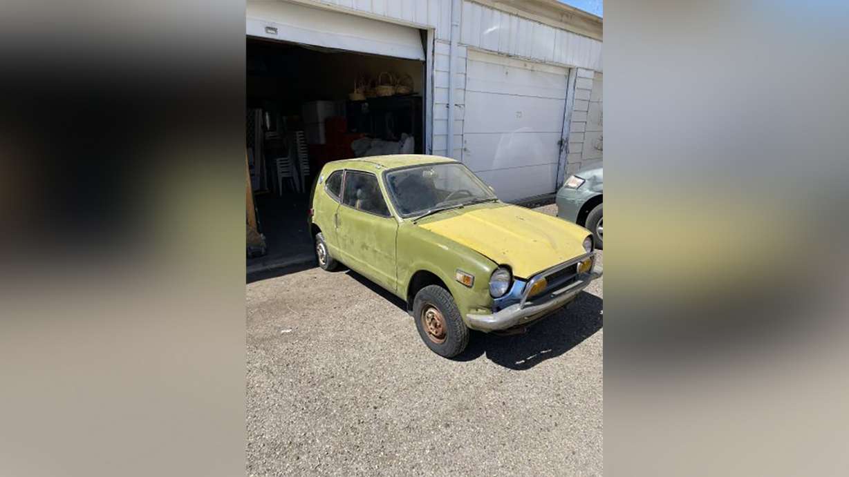 The multicolored Z600 squints at the first sun it has seen in years as it comes out of storage.