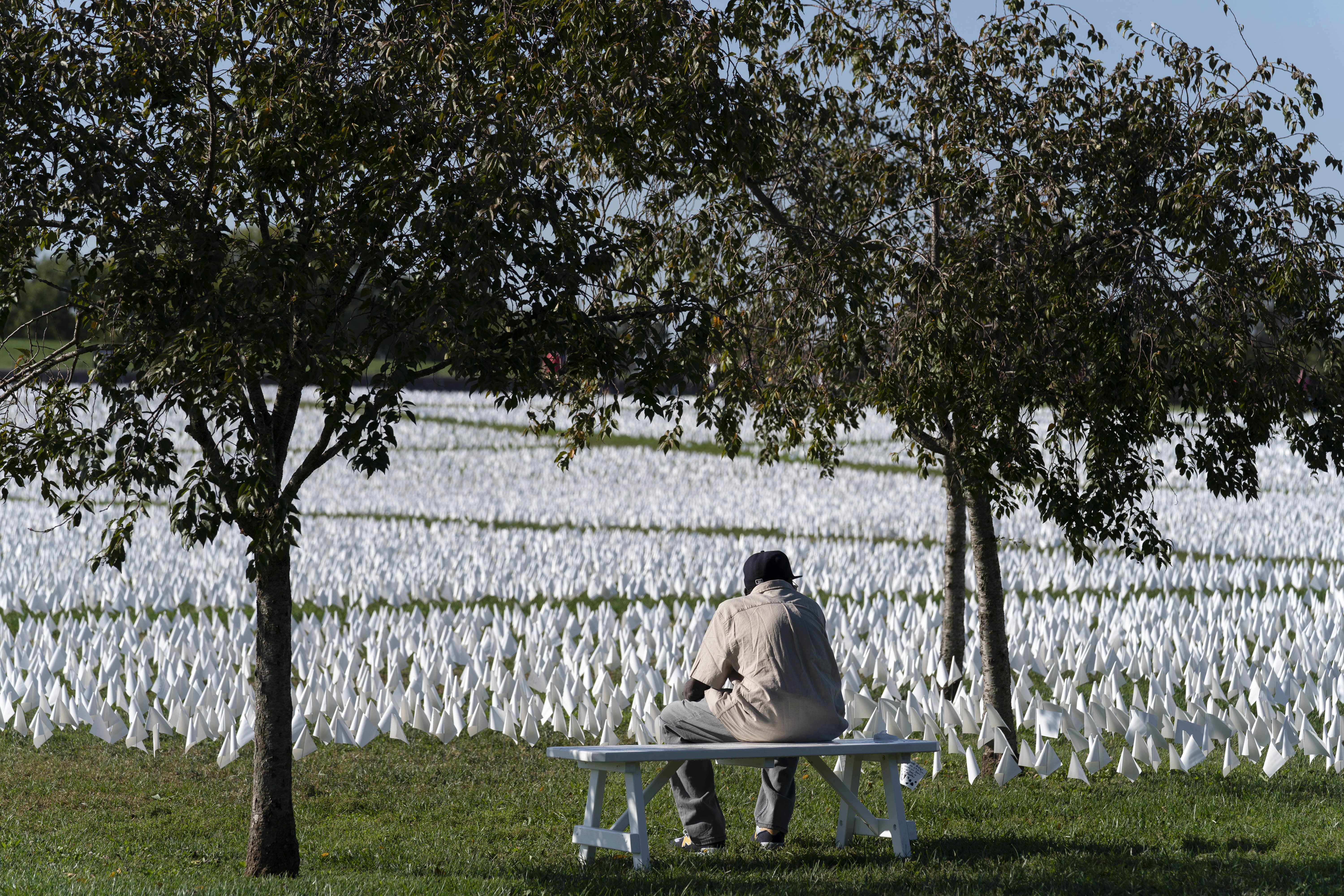 An art assignment on the National Mall shows how many Americans died of COVID-19. The number of U.S. deaths has dropped in 2022 after soaring for two years during the COVID-19 pandemic, but it still is much higher than the levels before the coronavirus hit.