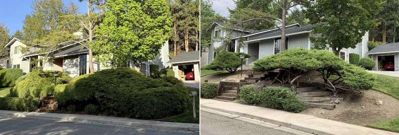 This combination of photos shows the front yard of Rebecca Boone and Paul Terhaar in Boise, Idaho on on April 26, 2020, left, and again after a landscape renovation on Aug. 21, 2021.