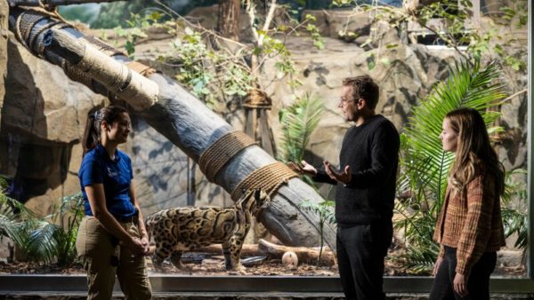 Researchers at the BYU and the Smithsonian Conservation Biology Institute used samples from one captive mainland clouded leopard and one wild Sunda clouded leopard to sequence the entire genome of leopard species.