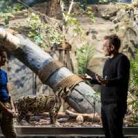 Researchers at BYU successfully sequenced the entire genome of leopard species going extinct