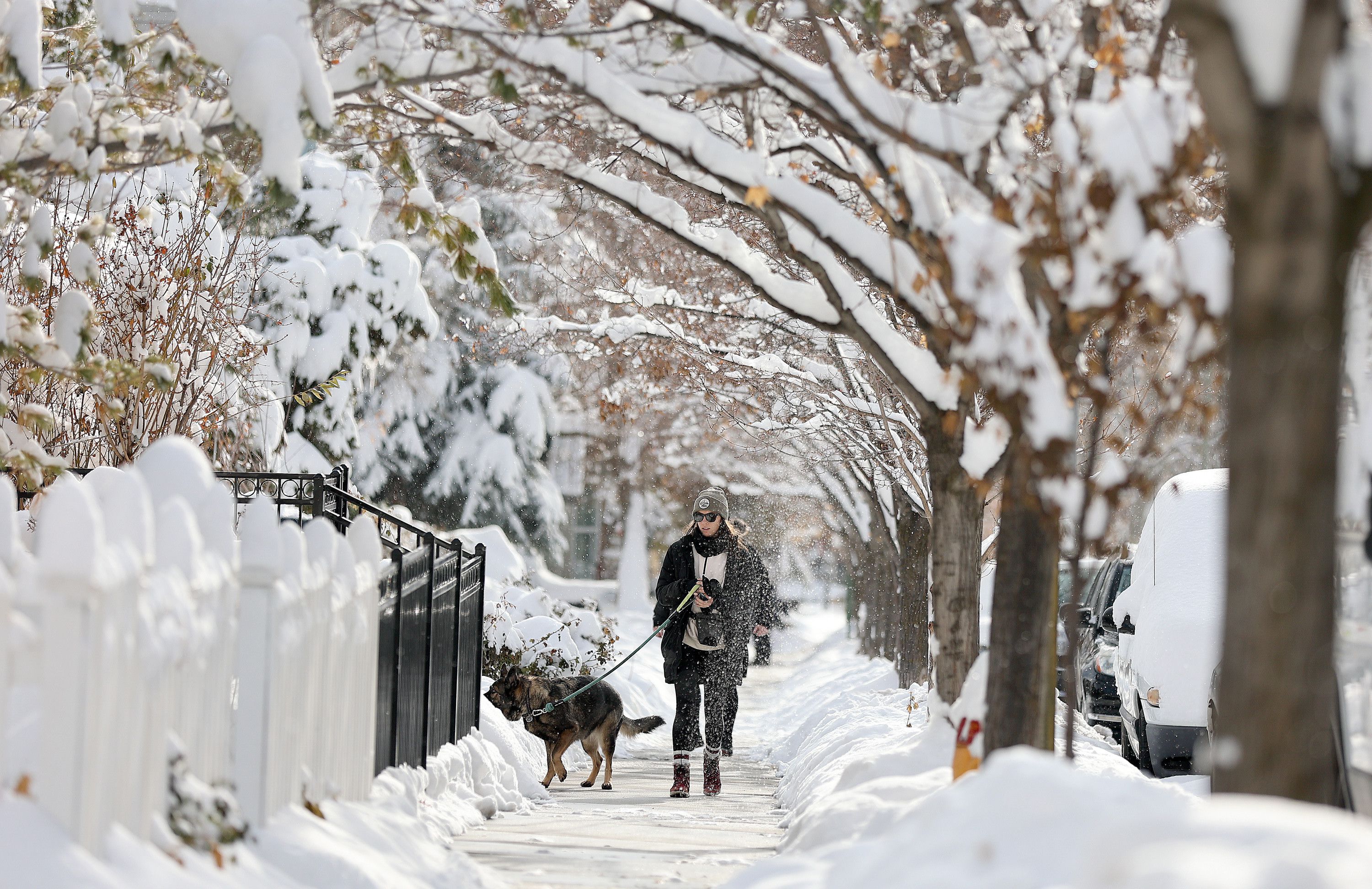 Claire Sorensen walks her dog Nakita near Memory Grove Park after a snowstorm in Salt Lake City on Dec. 15, 2022. The Provo City Council is drafting an ordinance where dog owners could face fines for not keeping their pets on leashes or not cleaning up after them.