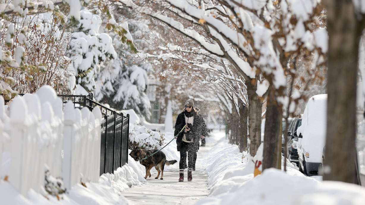 Claire Sorensen walks her dog Nakita near Memory Grove Park after a snowstorm in Salt Lake City on Dec. 15, 2022. The Provo City Council is drafting an ordinance where dog owners could face fines for not keeping their pets on leashes or not cleaning up after them.