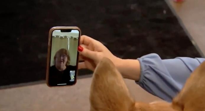 Zeppelin, a German shepherd mix, was reunited with his owner after turning up several states away.