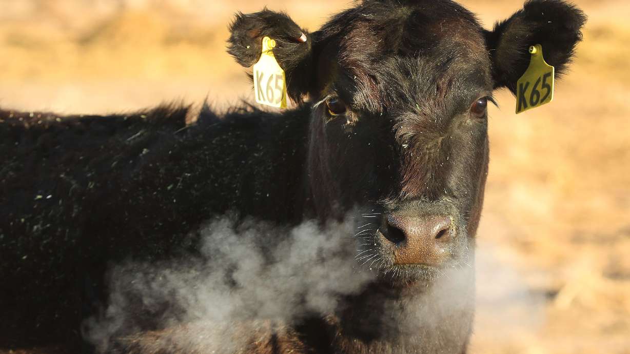 The Bureau of Land Management is revamping its grazing rules, for the first time in nearly three decades, and all those involved are on edge.