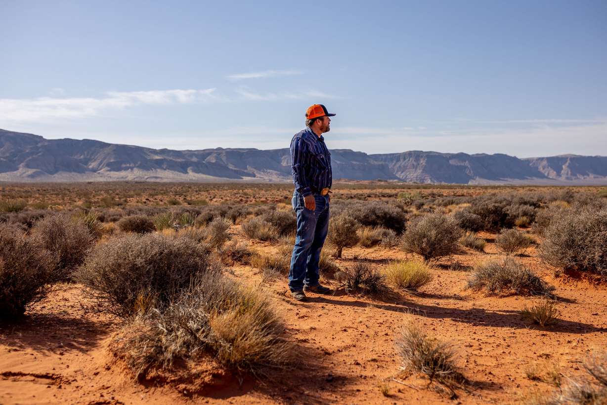 Kelby Iverson checks the state of natural forage on Bureau of Land Management land on which his cattle typically winter in Hurricane, Washington County, on Sept. 9. Due to the persistent drought in the area, Iverson said he has never seen the land so bare of edible forage.