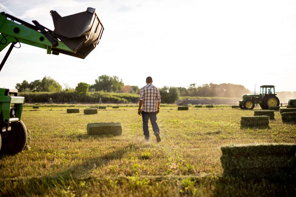 Dave Evans walks over to talk to his father, Hugh Evans, while they bale and stack hay on their property in Duchesne on July 27.