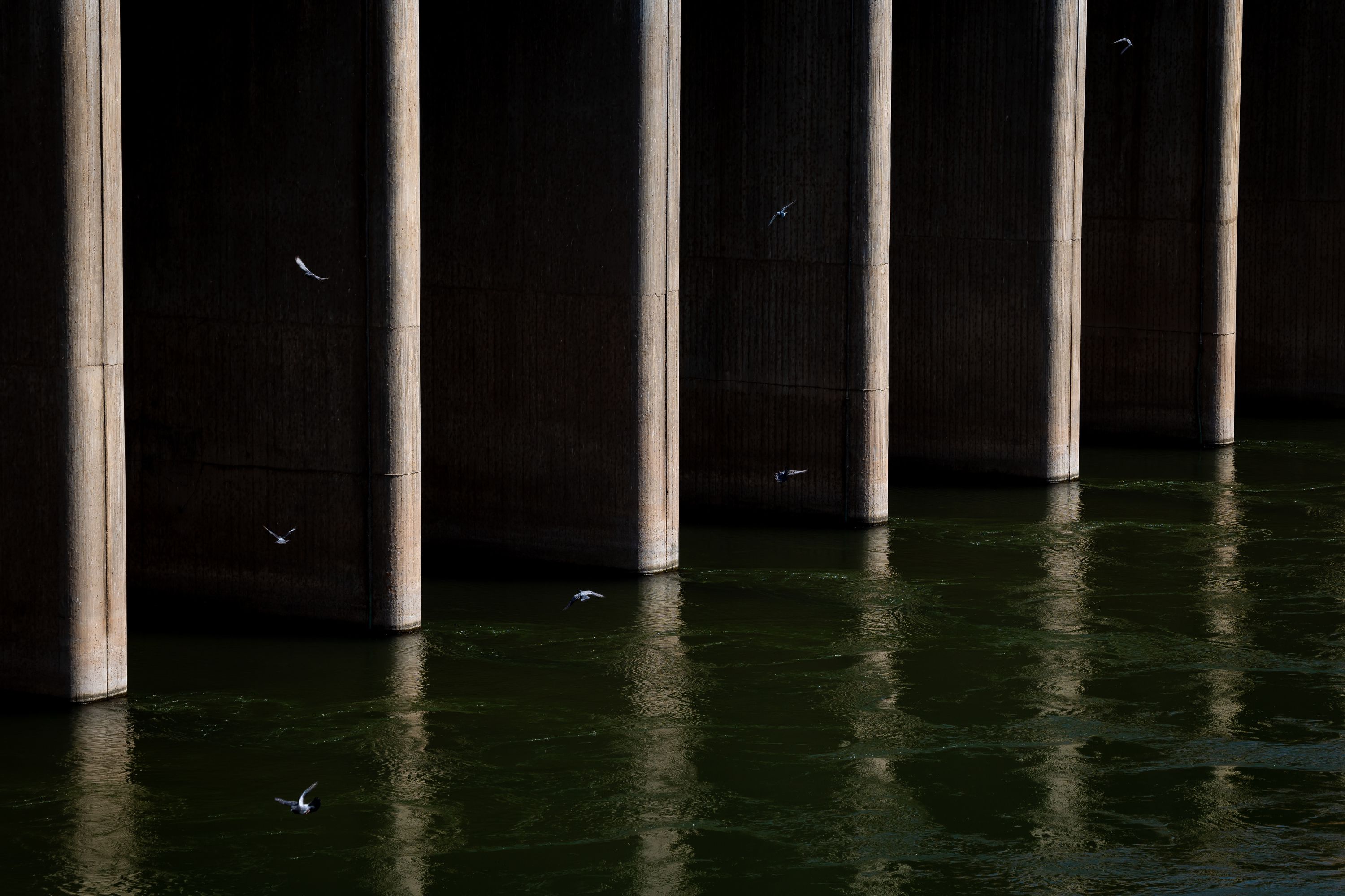 Birds fly around the Morelos Dam, which diverts nearly all Colorado River water into a federal irrigation canal after passing from the United States into Mexico, in Los Algodones, Baja California, Mexico, on June 24.