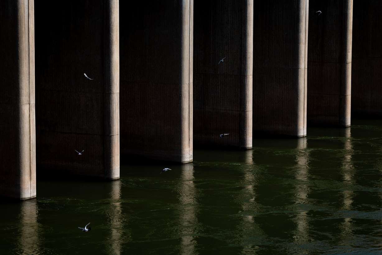 Birds fly around the Morelos Dam, which diverts nearly all Colorado River water into a federal irrigation canal after passing from the United States into Mexico, in Los Algodones, Baja California, Mexico, on June 24.