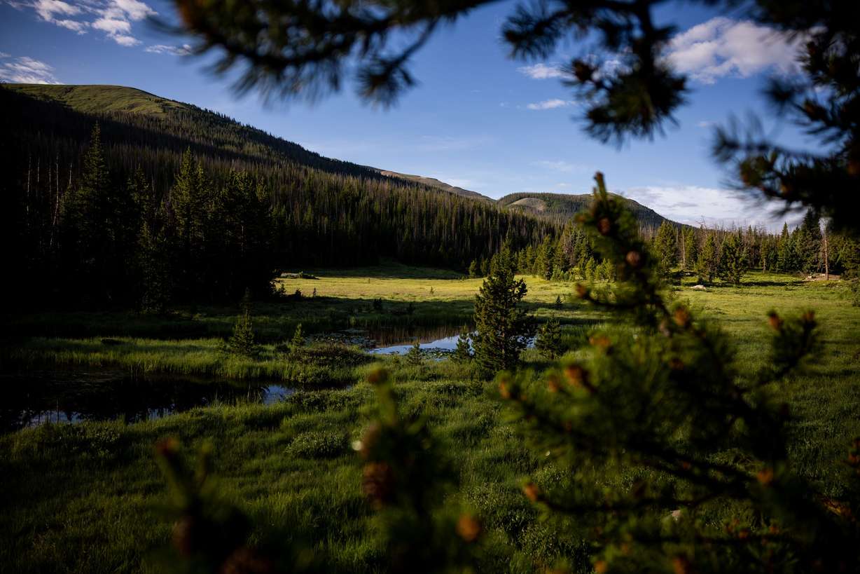 The headwater of the Colorado River, in a green meadow inside Rocky Mountain National Park in Colorado, is pictured on July 15.