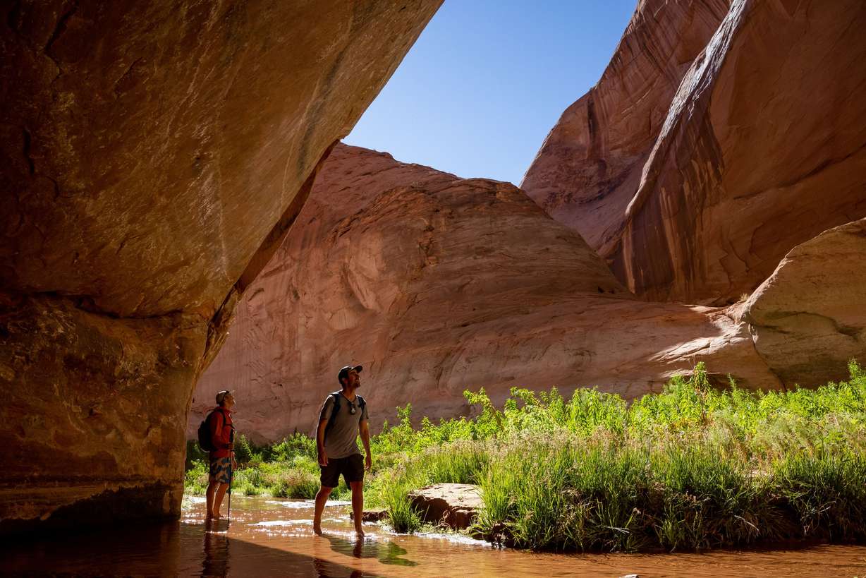 Dimitri Littig accompanies Eric Balken, executive director of Glen Canyon Institute, on a hike in Davis Gulch, a side canyon on the Escalante River arm of Lake Powell, on Oct. 6. This part of the canyon has emerged from the declining waters of the reservoir fairly recently, but long enough for grasses and other small plants to grow. The light deposits on the canyon walls are the “bathtub ring” that marks historic water levels of the reservoir.