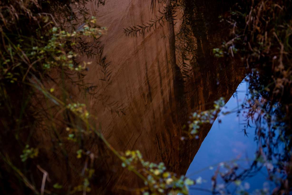 The steep canyon walls of Davis Gulch, a side canyon on the Escalante River arm of the reservoir, are reflected in a pool of water on Oct. 6. This area of the canyon was once deep under the waters of Lake Powell but has since reemerged as the reservoir’s water level has declined.