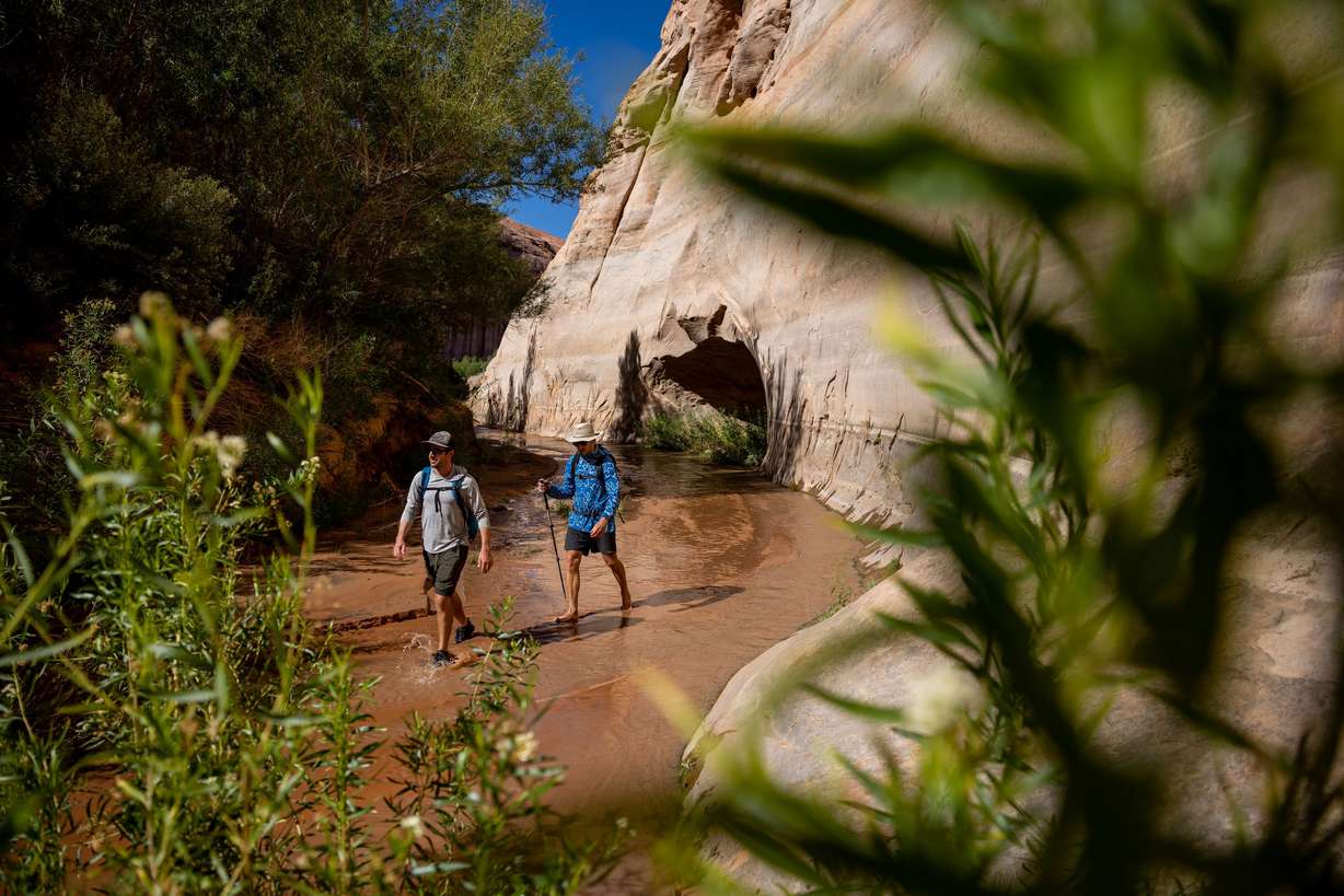 Eric Balken, executive director of Glen Canyon Institute, is accompanied by Dimitri Littig on a hike in Lake Canyon, a side canyon off of Lake Powell near Bullfrog, during a media tour on Oct. 7. The canyon walls here are still white with the so-called “bathtub ring” of Lake Powell - a light colored deposit of minerals left by the historic water levels of the reservoir. This part of Lake Canyon reemerged a number of years ago as the water levels in Lake Powell declined, allowing desert flora to regrow.