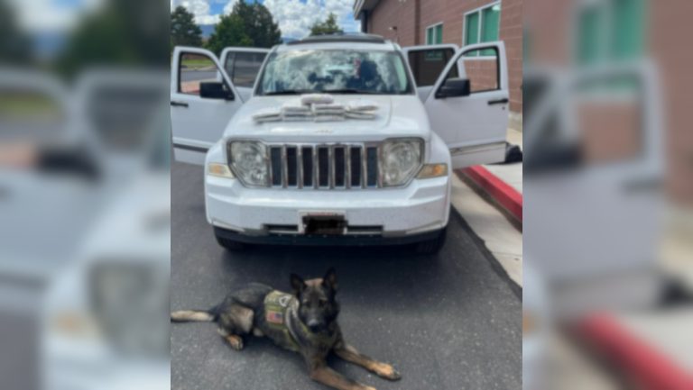 Iron County Sheriff’s Office K-9 officer Vojak poses in front of an impounded Jeep with 12 packages of suspected methamphetamine displayed on its hood, in Cedar City, Aug. 10. A 23-year-old man accused of drug trafficking has been sentenced.
