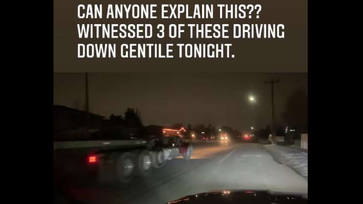 Matt Seal witnessed three of these driving down the road earlier this month.