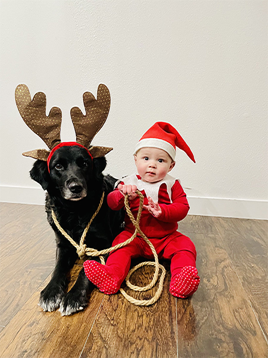 Don’t worry Santa, I caught the lost reindeer.