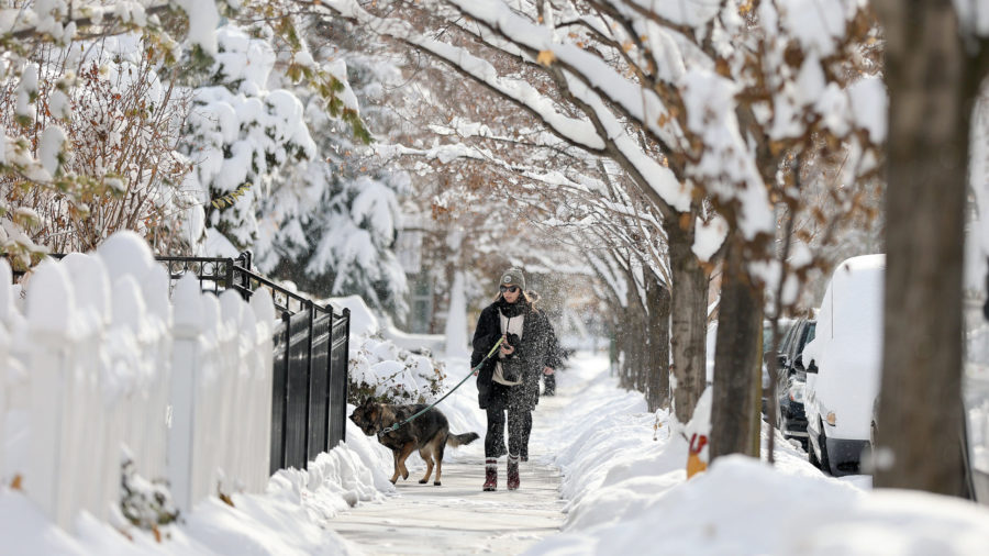 Claire Sorensen walks her dog Nakita near Memory Grove Park after a snowstorm in Salt Lake City on Dec. 15.
